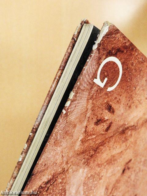 Expedíció az időben