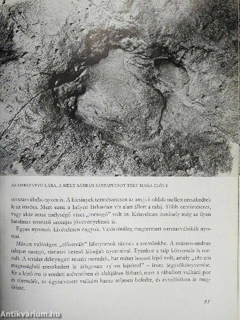 Expedíció az időben