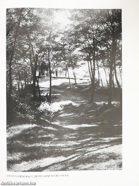 Expedíció az időben