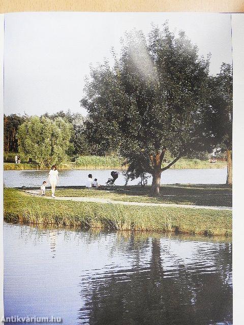 Nyíregyháza-Sóstó