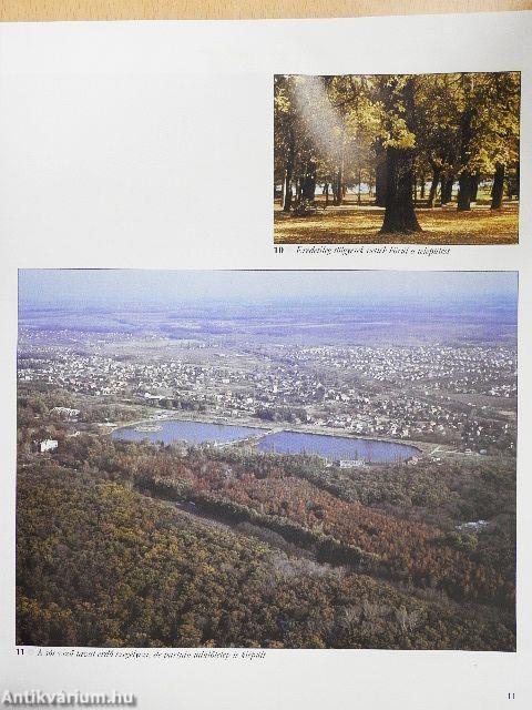 Nyíregyháza-Sóstó