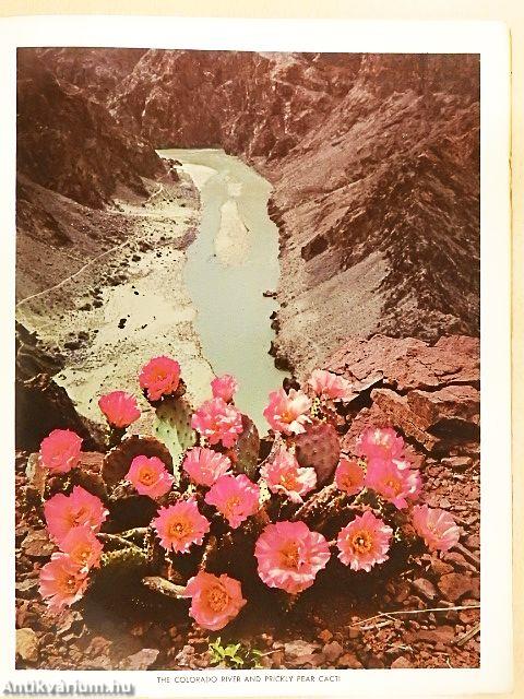 Grand Canyon National Park, Arizona