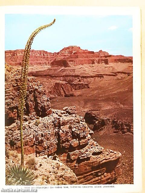 Grand Canyon National Park, Arizona