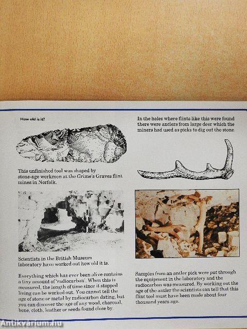 Inside the British Museum