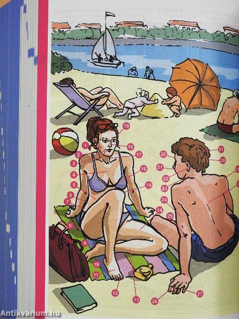 Német-magyar/magyar-német tanulószótár érettségizőknek és nyelvvizsgázóknak