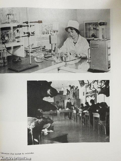 50 ans de Mongolie Populaire