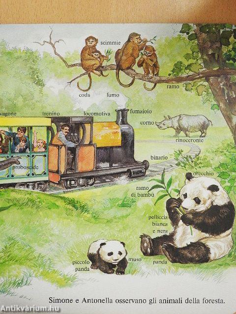 Gli animali dello Zoo