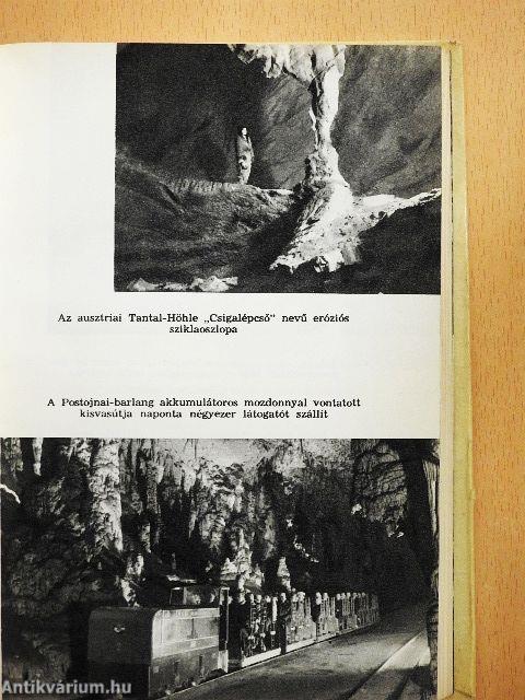 A barlangok világa