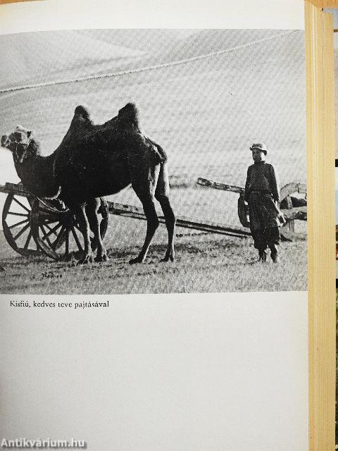 Négy hágó sziklavadonában