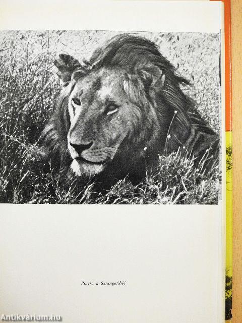 Így láttam Afrikát