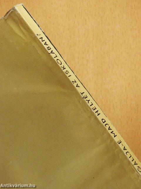 Megállja-e majd helyét az iskolában?