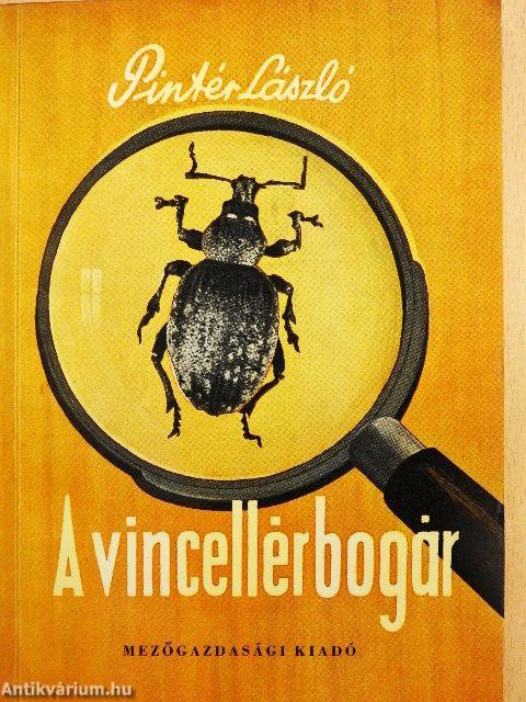A vincellérbogár