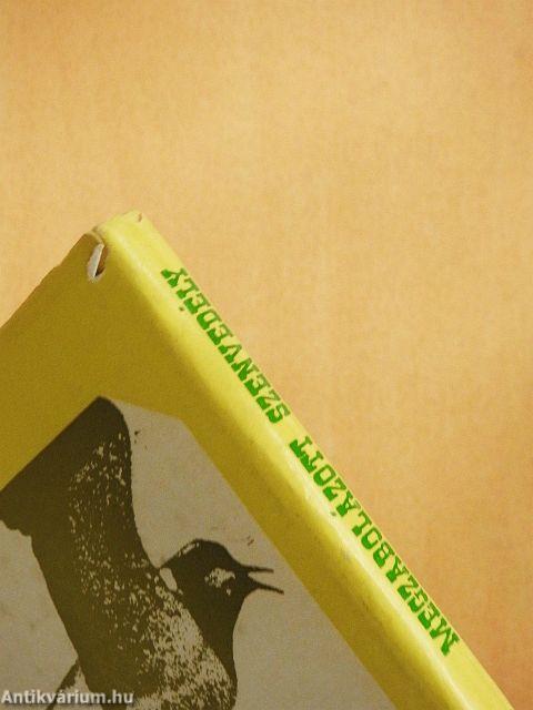 Megzabolázott szenvedély