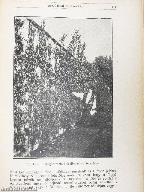 A törpe gyümölcsfák ültetése és gondozása/Gyümölcstermelők naptára 1942.