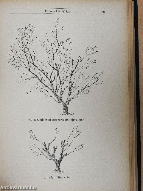 A törpe gyümölcsfák ültetése és gondozása/Gyümölcstermelők naptára 1942.