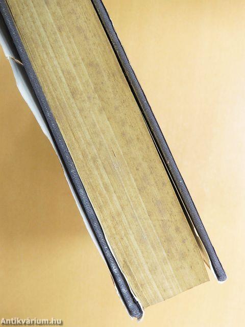 Európa gazdasága a 19. században