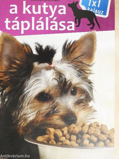 A kutya táplálása