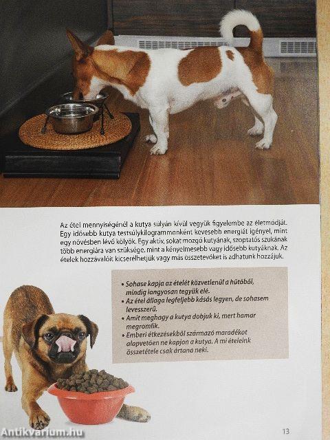 A kutya táplálása