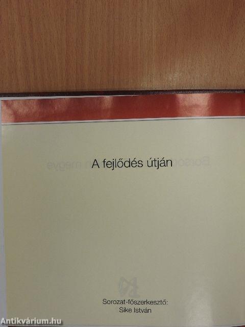 Borsod-Abaúj-Zemplén megye