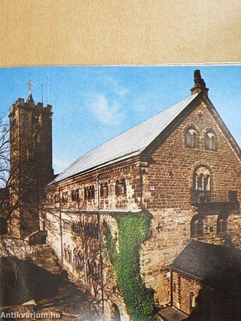 Árpádházi Szent Erzsébet