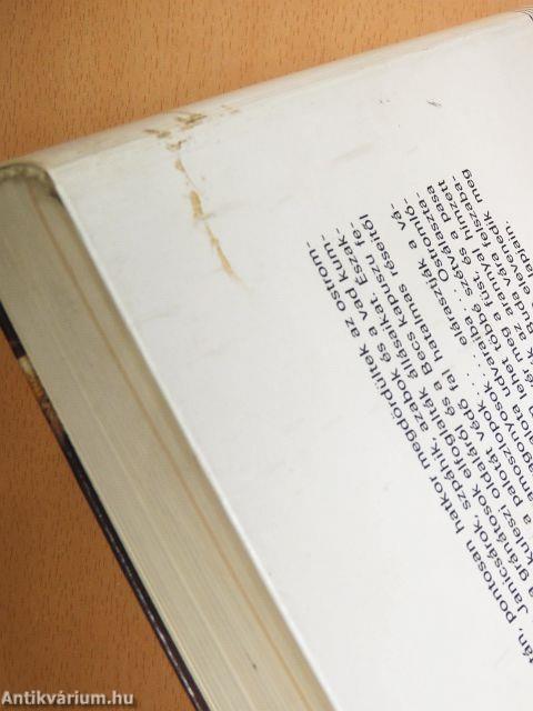 Buda visszavívása, 1686