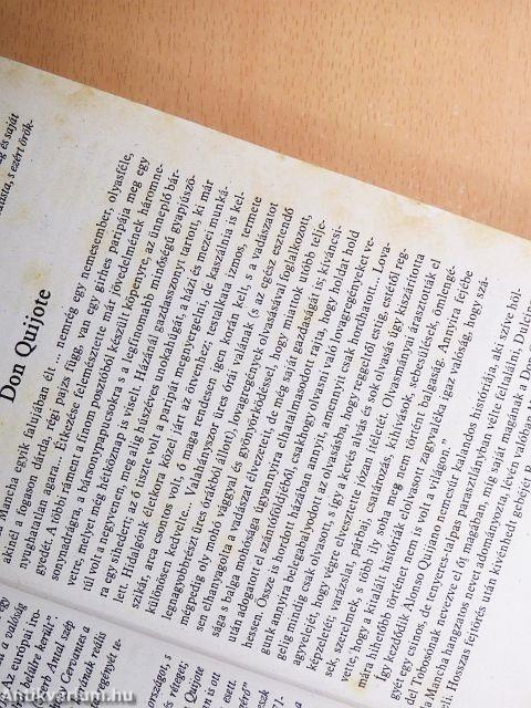 Száz híres regény I-II.