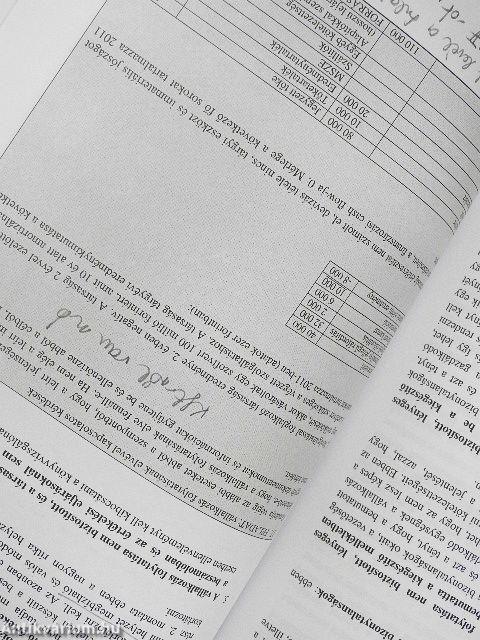 Könyvvizsgálók kötelező szakmai továbbképzése 2012