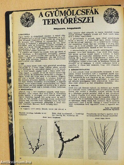 Kertészet és Szőlészet 1972. (nem teljes évfolyam)