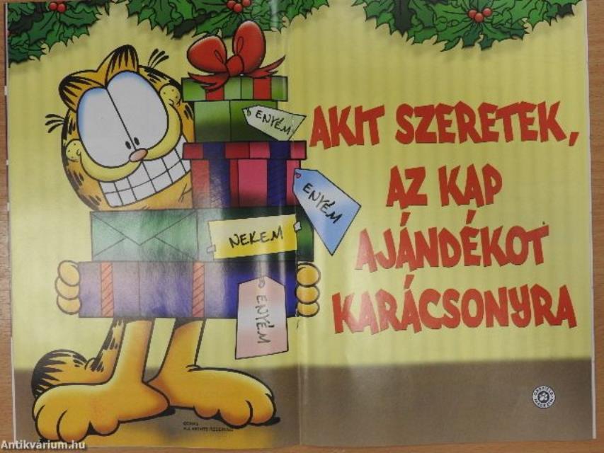 Garfield 2009/1. január (olvasatlan, nyomdatiszta állapotú)