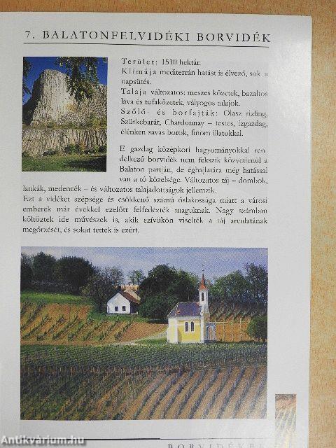 Magyar borvidékek/Szőlőfajták