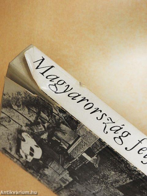 Világváros határában