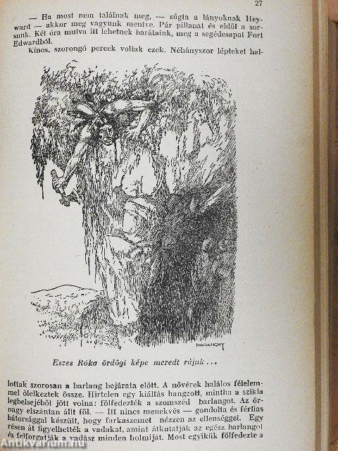 A nagy indiánus-könyv