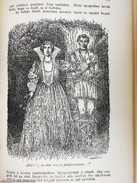 A nagy indiánus-könyv