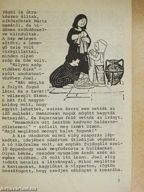 Gyermekláncfű 3.