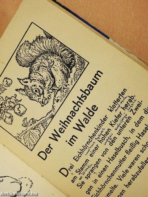 Geschichten von sonderbaren Tieren