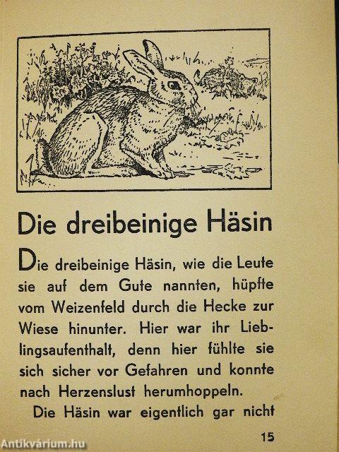 Geschichten von sonderbaren Tieren