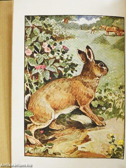 Geschichten von sonderbaren Tieren