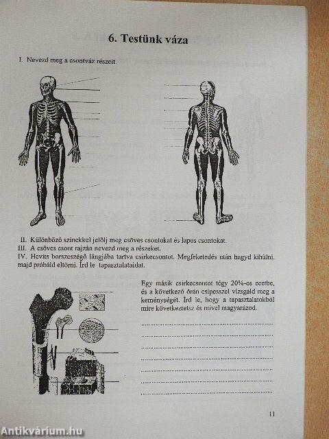 Biológia munkafüzet 8.
