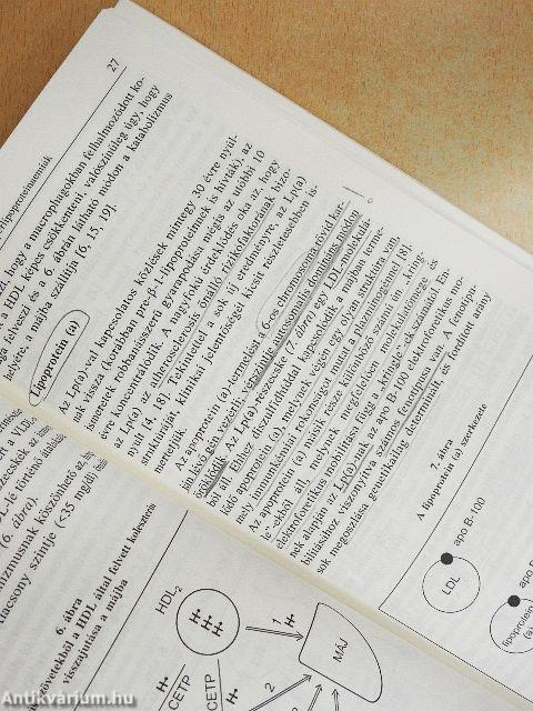 Zsíranyagcsere-zavarok klinikai jelentősége és kezelése