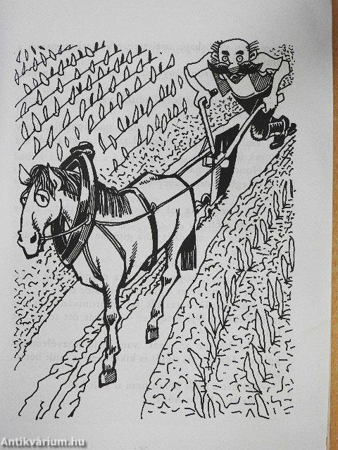 Túlélő újságíró rémálmodik