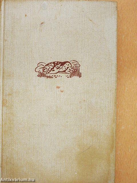 Blumen aus Fabricius und andere Erzählungen