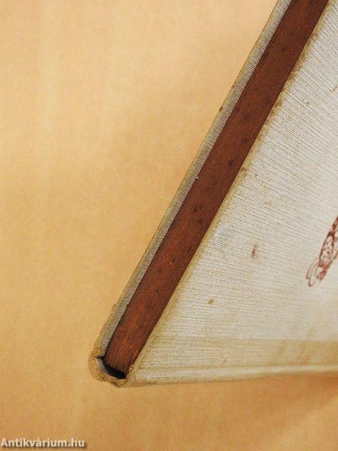 Blumen aus Fabricius und andere Erzählungen