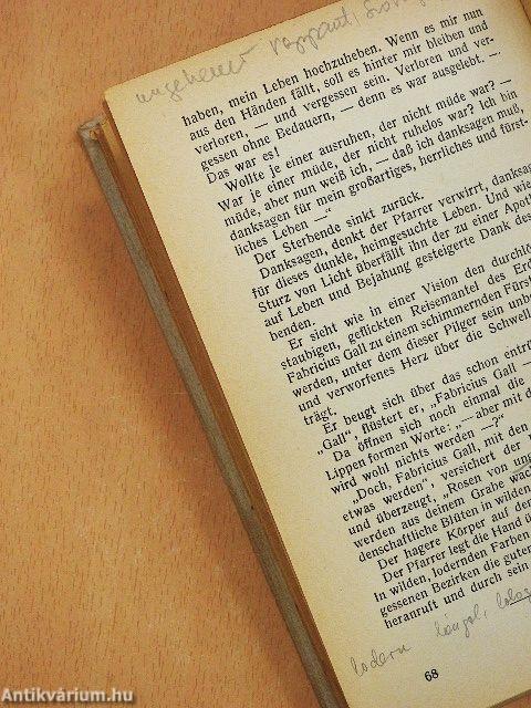 Blumen aus Fabricius und andere Erzählungen