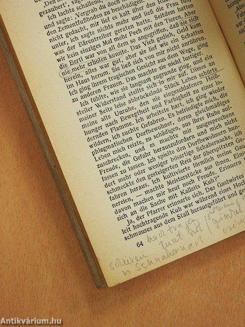 Blumen aus Fabricius und andere Erzählungen