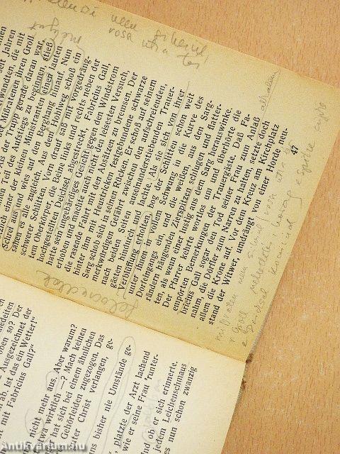 Blumen aus Fabricius und andere Erzählungen