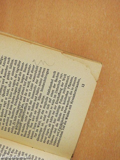 Blumen aus Fabricius und andere Erzählungen