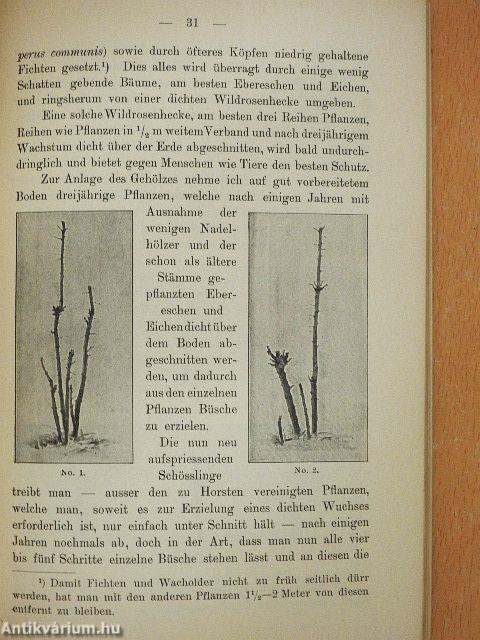 Der gesamte Vogelschutz