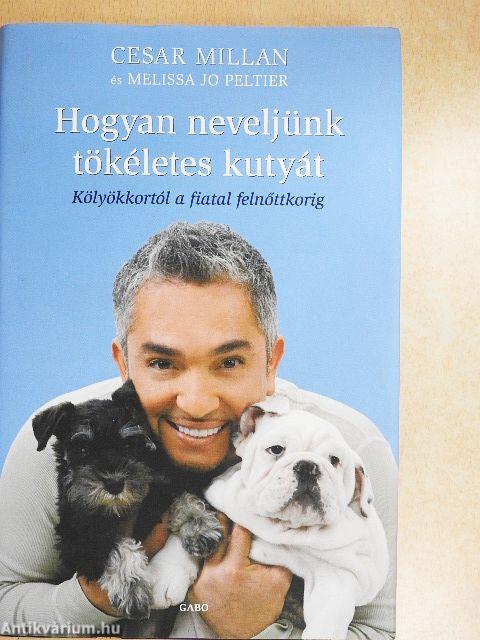 Hogyan neveljünk tökéletes kutyát