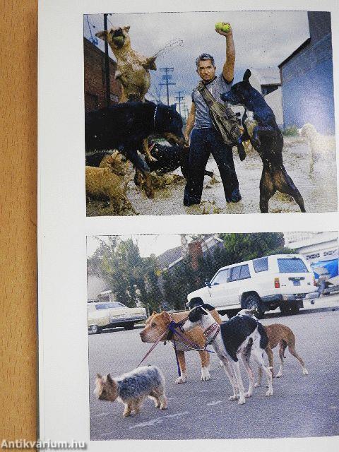 Hogyan neveljünk tökéletes kutyát