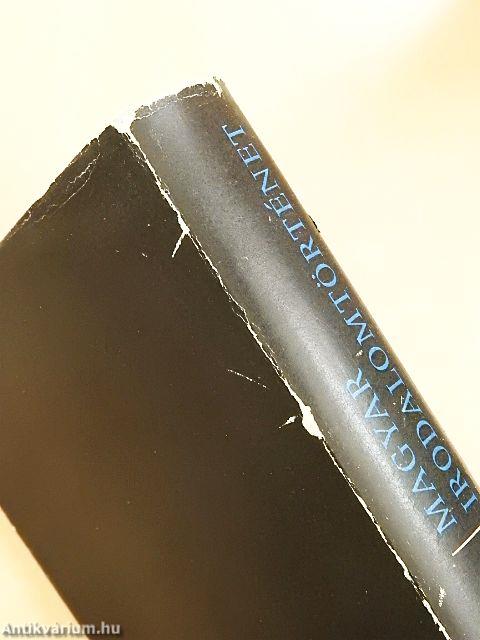 Magyar irodalomtörténet